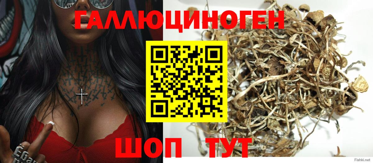 закладка  Вход с VPN  Ставрополь  Галлюциногенные грибы MAGIC MUSHROOMS 
