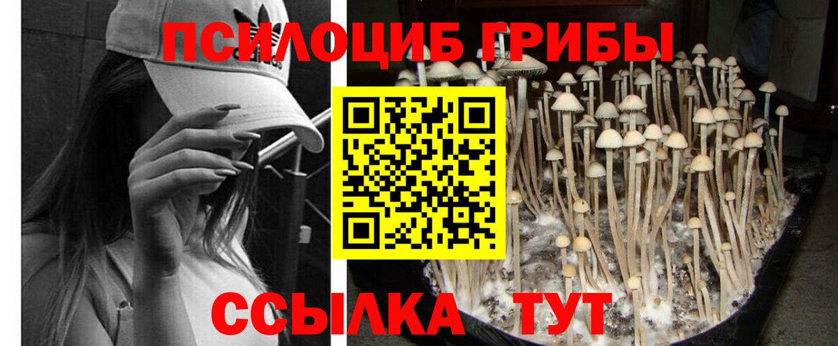 Псилоцибиновые грибы MAGIC MUSHROOMS Ставрополь